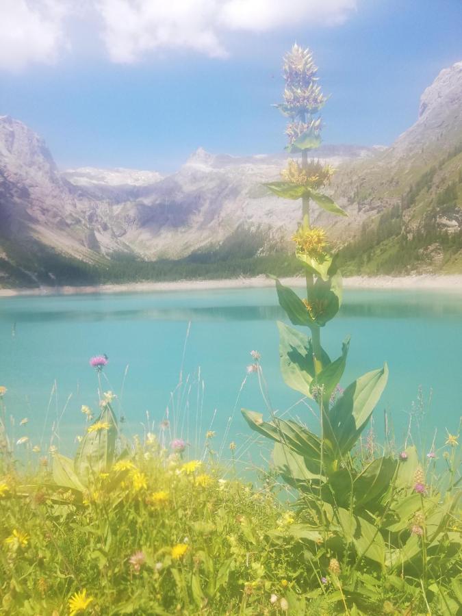 Chambres d’hôtes près de Verbier Volleges Esterno foto